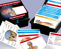 Lernkärtchen