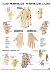 «Hand-Akupunktur», laminiert 