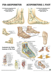 «Fuss-Akupunktur», laminiert 