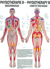 «Bindegewebsmassage», laminiert 