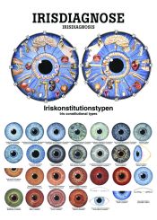 Lehrtafel «Irisdiagnose», laminert 