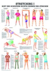 «Stretching I», laminiert 