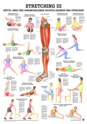 «Stretching III», laminiert 