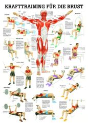 «Krafttraining für die Brust», laminiert 