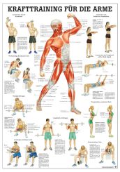 «Krafttraining für die Arme», laminiert 