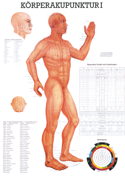 «Körperakupunktur I», laminiert 