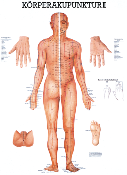 «Körperakupunktur II», laminiert 