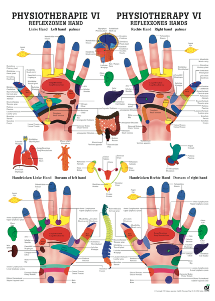 «Reflexzonen Hand», laminiert 