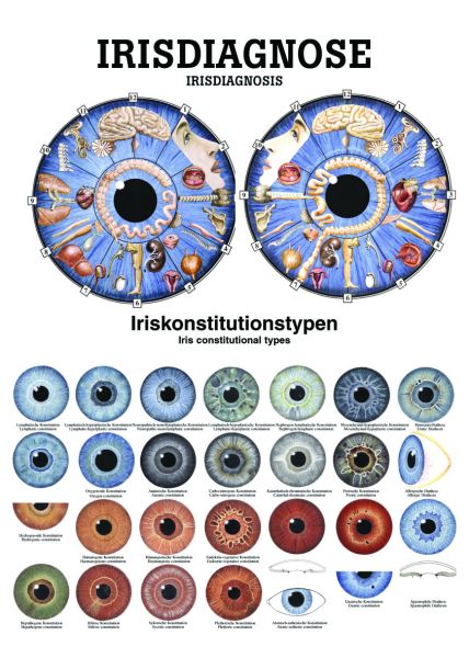 Lehrtafel «Irisdiagnose», laminert 