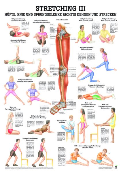 «Stretching III», laminiert 