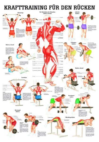 «Krafttraining für den Rücken», laminiert 