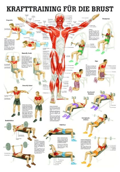 «Krafttraining für die Brust», laminiert 