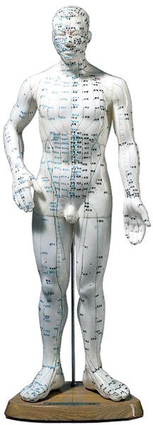 Akupunkturfigur männlich, ACU 12 