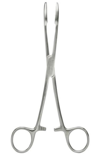 Korn- oder Tupferklemme Edelstahl 