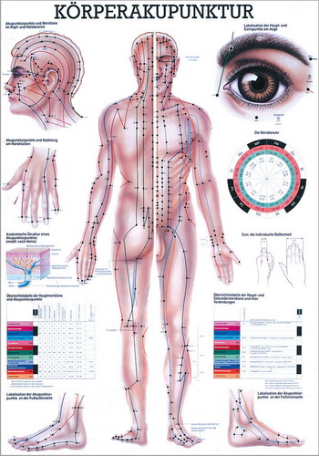 «Körperakupunktur», laminiert 