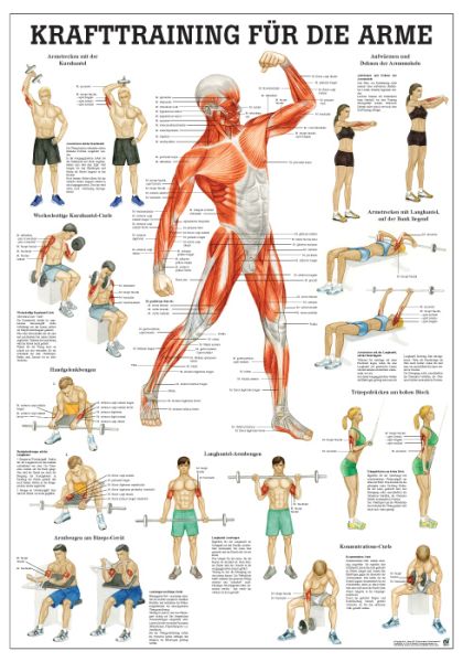 «Krafttraining für die Arme», laminiert 