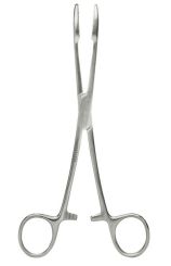 Korn- oder Tupferklemme Edelstahl 